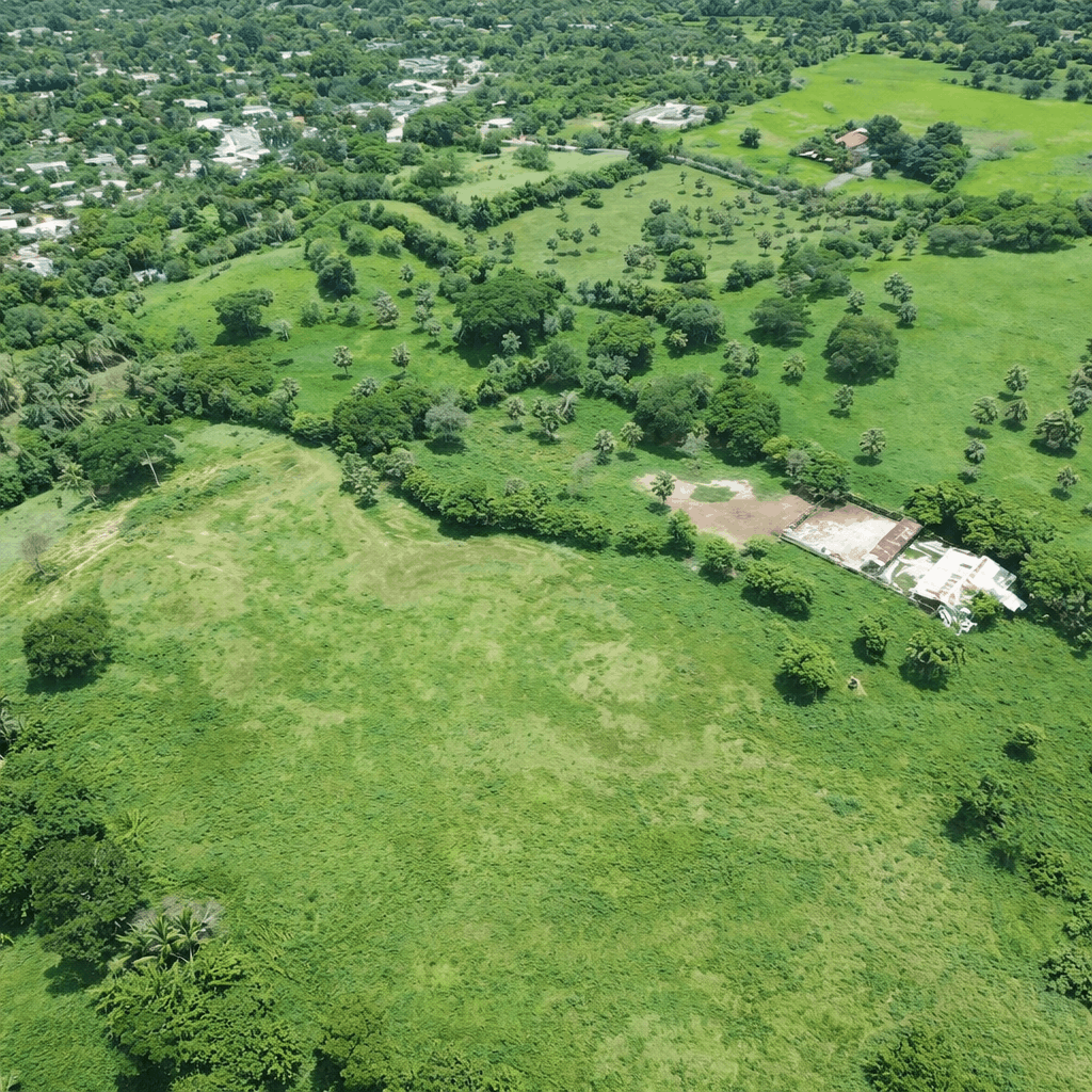 imagen de terreno en los días, puñal, laguna prieta