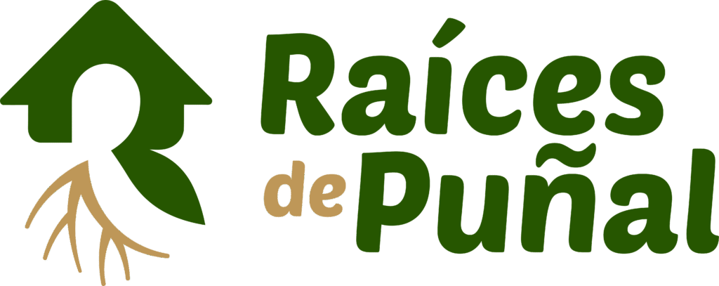 logo raíces de puñal png